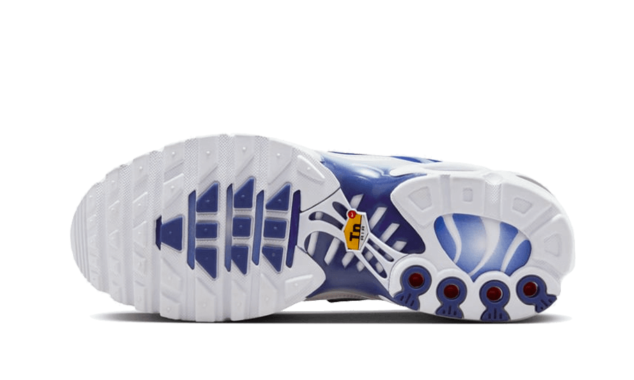 Nike® Air Max Plus Blue Fade